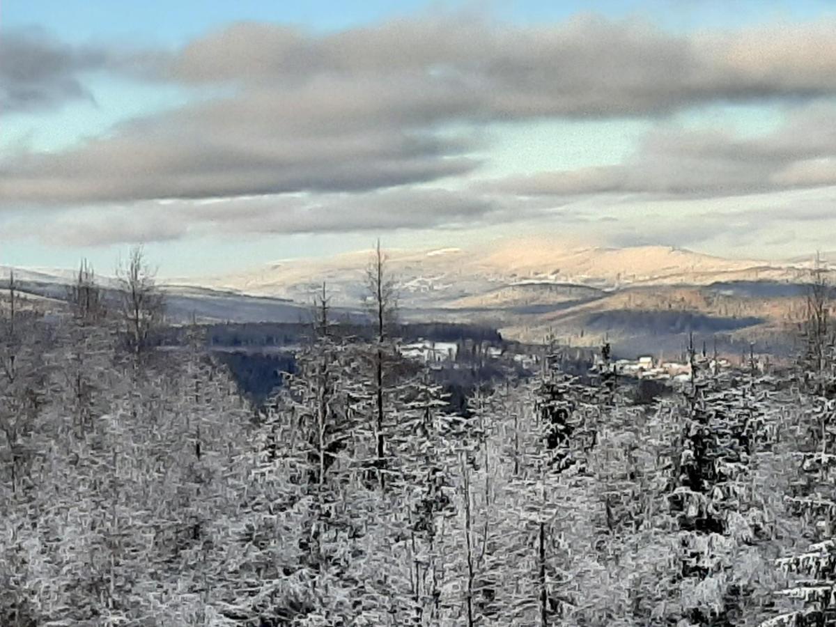 Sunny Hill , Kowary Leilighet Eksteriør bilde