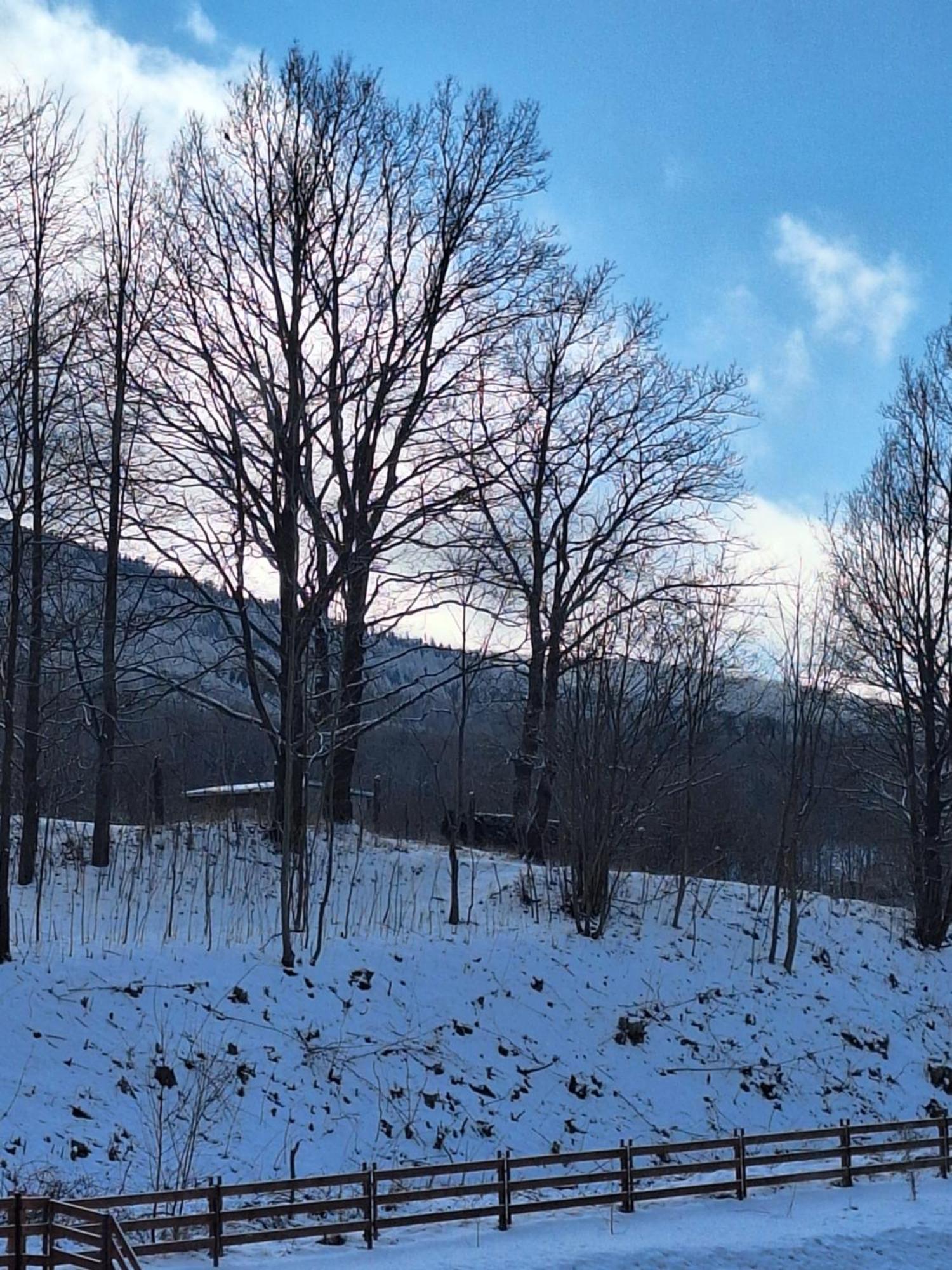 Sunny Hill , Kowary Leilighet Eksteriør bilde